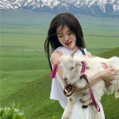 四月一日灵异事件簿剧场版：仲夏夜之梦