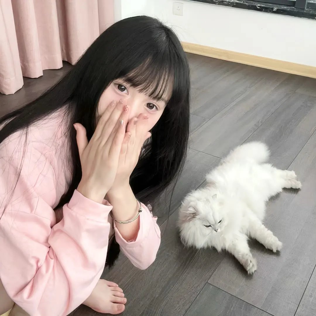 金牌贱猫：重新出击